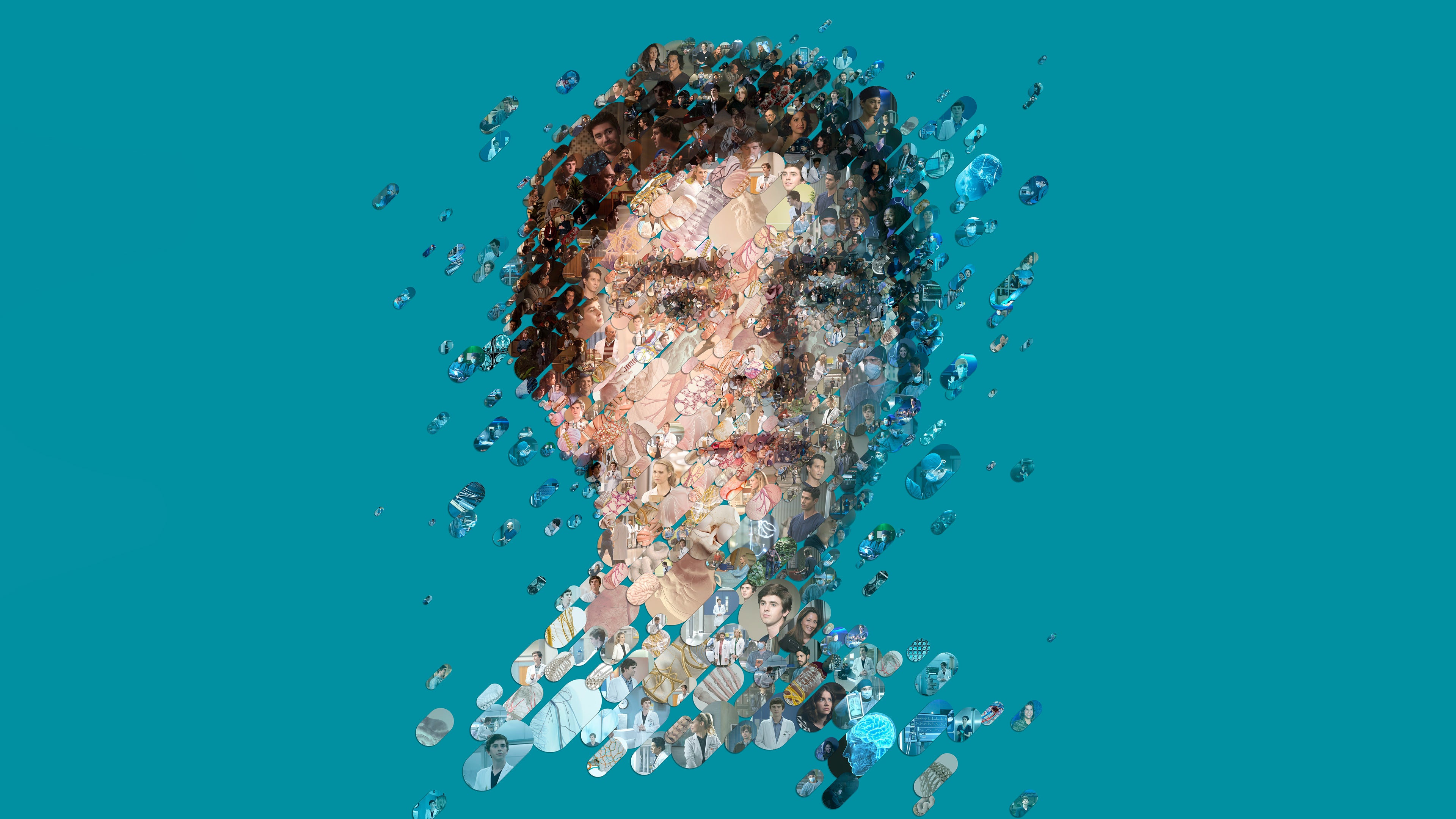 Watch The Good Doctor Online Now Streaming On OSN Iraq what-do-you-call-a-person-who-hates-marriage-expand-your-vocabulary