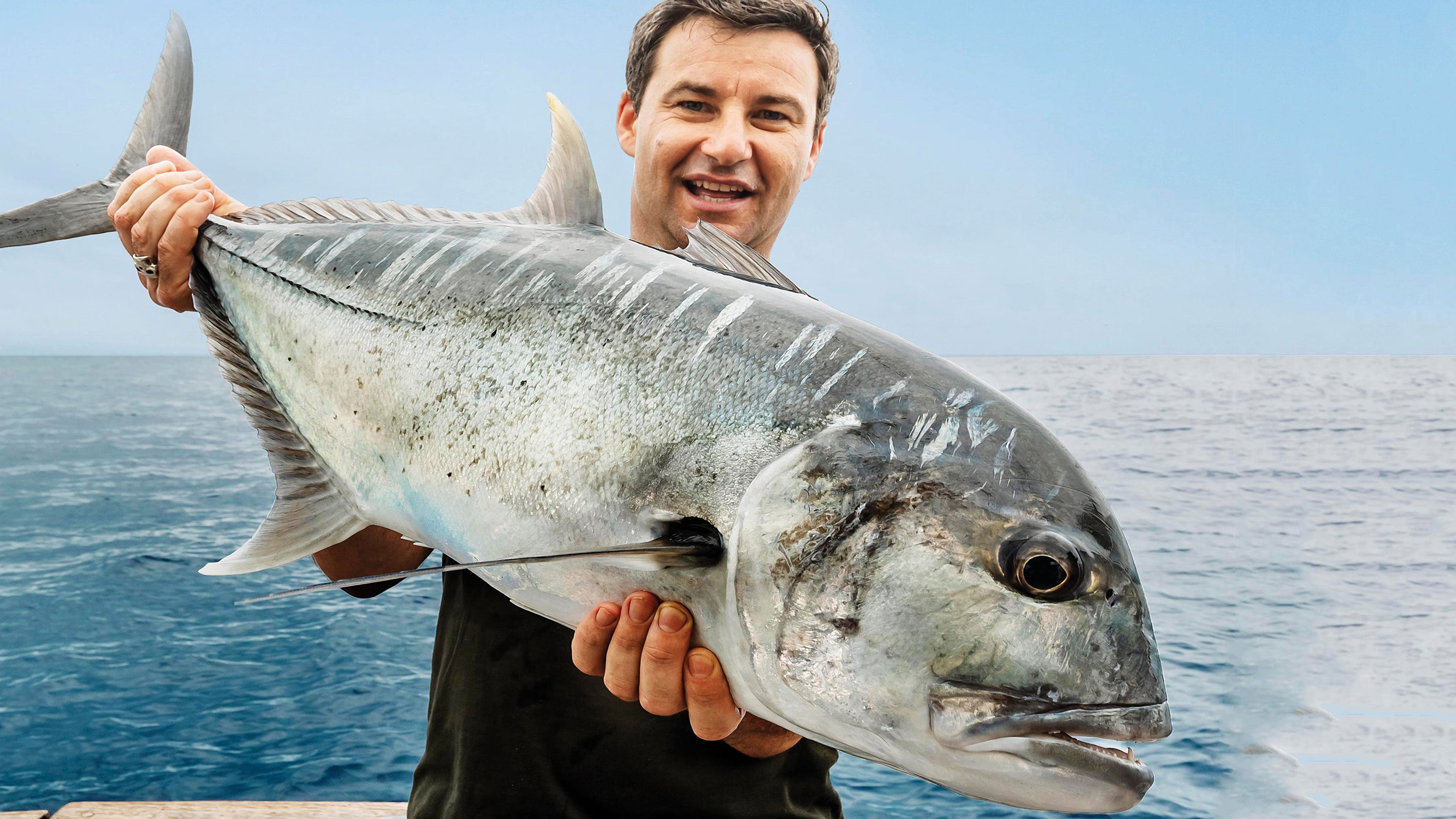 Watch Fish Of The Day Online OSN Streaming